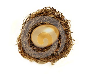 Golden nest egg representing retirement savings