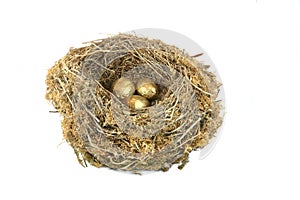 Golden Nest Eggs