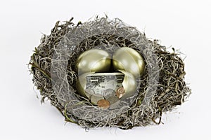 Golden Nest Eggs with one egg broken