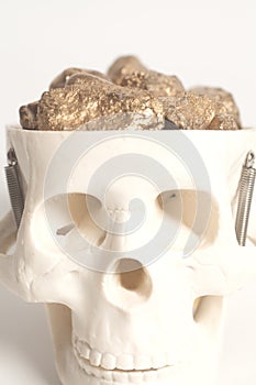 Golden nuggets in skull head