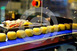 Golden nut snacks production line on conveyor belt equipment machinery in factory