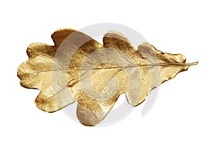 Golden oak leaf isolated on white