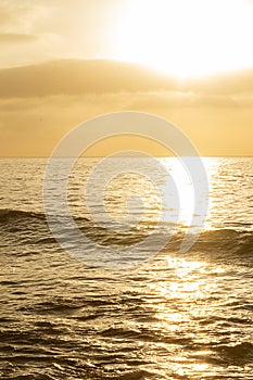 Golden ocean espanse at sunrise with forming wave