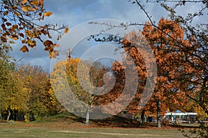 Golden October 2015 in Berlin Spandau, Germany