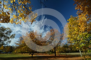 Golden October 2016 in Berlin Spandau, Germany