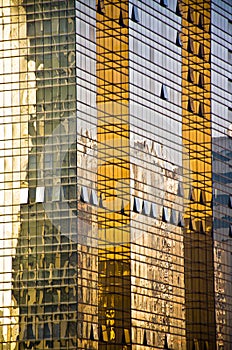 Golden Office building glass wall.