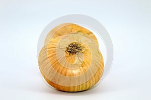 Golden onion in the husk. Light background. Two onions