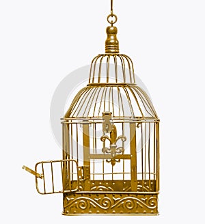 Golden open bird cage