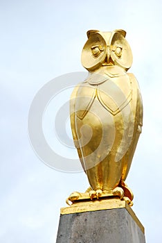 Golden owl (Leeds) photo