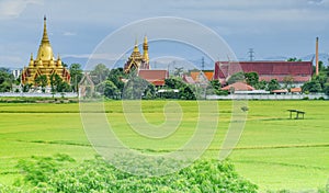 Golden pagoda