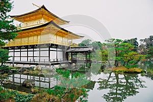 Golden pagoda with green tree and reflection on lake in autumn a