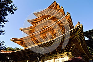 Golden pagoda of the Jeung San Do religious movement in Cheongju, Korea