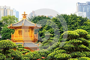 Golden pagoda of Nan lian garden at Chi Lin Nunnery