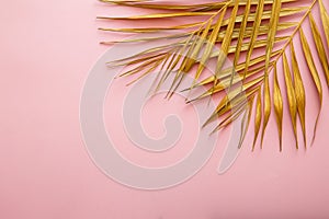 Golden palm leaf frame, tropical leave texture on pink background with copy space. Painted gold leaves space for text