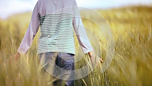 Golden Path: A Boy's Journey Through the Wheat Field, Connecting with Nature in Close-up