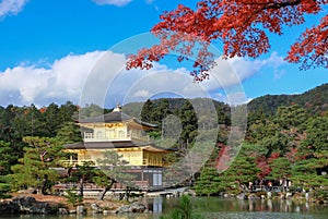 Golden Pavilian at Kinkakuji Temple with red maple leaves