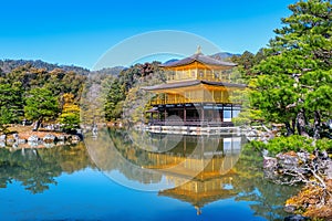 The Golden Pavilion. Kinkakuji Temple in Kyoto, Japan