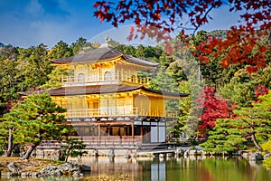 Golden Pavilion Kinkakuji Temple photo