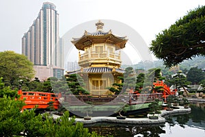 The Golden pavilion and red bridge in Nan Lian Garden near Chi Lin Nunnery, Hong Kong