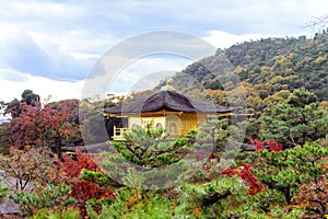 Golden Pavilion and reflections on a Pond, background is a beautiful Japanese garden,  Kinkakuji temple is Zen Buddhist  temple