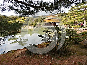 Golden Pavillion (Kinkaku-ji Temple), Kyoto, Japan