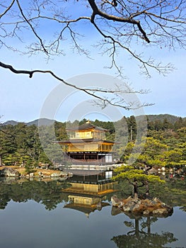 Golden pavillion in Kinkakuji temple Japan