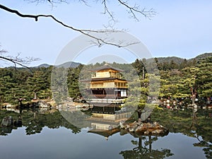 Golden pavillion ,Temple Kinkakuji in Kyoto, Japan.