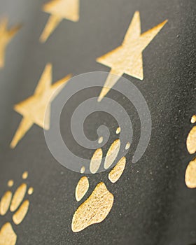Golden Paw Print on Navy SEALs Monument