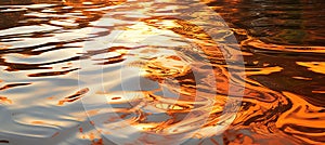 Golden peach fuzz 2024 sunlight s reflection on rippling water creates a captivating tapestry
