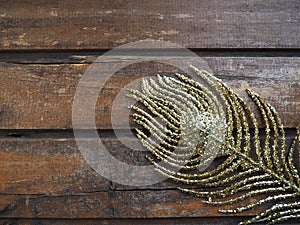 Golden peacock feather. Decorative gilded branch in the shape of a peacock's tail and eyelet. Wooden background