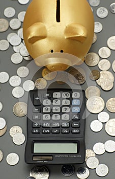 Golden piggy bank looking to calculator.financial concept