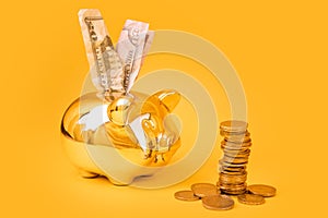 Golden piggy bank with money tower and dollar bills on yellow background. Stack of euro coins near golden money box. Money pig,