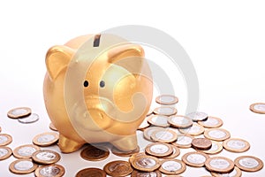 Golden piggy bank with savings in coins of the Brazilian money