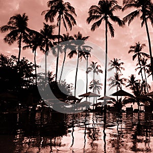 Golden pink sunset on the beach, palm trees reflected in water