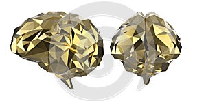 Golden polygonal brain