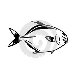 Golden Pompano Fish or Trachinotus in the Family Carangidae Viewed from Side Mascot Retro Black and White