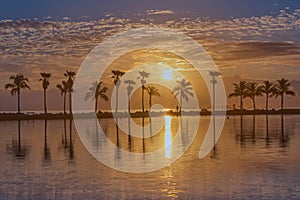 On Golden Pond Sunrise - In Miami
