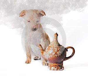 Golden puppy looks at smoke from ceramic teapot