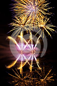 Golden and Purple Fireworks