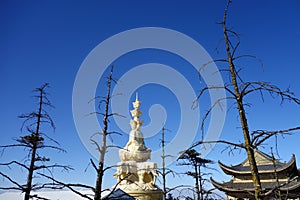 Golden Puxian Buddha at MT.Emei