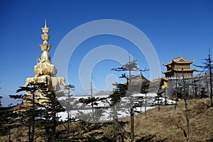 Golden Puxian Buddha at MT.Emei