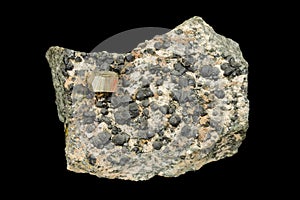 Golden pyrite and dark clinochlore minerals
