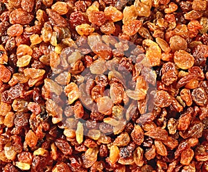 Golden raisins background