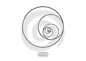 Fibonacci Sequence Circle. Golden ratio. Geometric shapes spiral. Circles in golden proportion. Futuristic minimalist design photo
