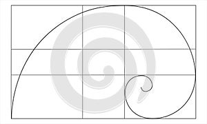Golden ratio sign. Logarithmic spiral in rectangle. Fibonacci Sequence. Nautilus shell shape. Perfect nature symmetry