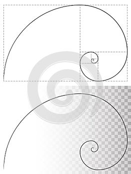 Golden ratio spiral line