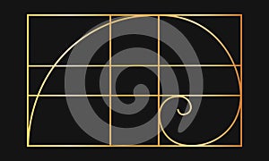 Golden ratio template. Gold logarithmic spiral in rectangle frame divided on lines. Fibonacci sequence grid. Perfect