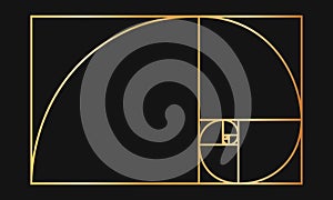 Golden ratio template. Gold logarithmic spiral in rectangle frame divided on squares. Fibonacci sequence grid. Leonardo