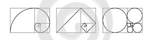 Golden ratio template. Harmony proportions outline template composition balance. Grid fracted on squares, circles and