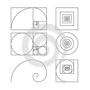 Golden ratio template vector illustration